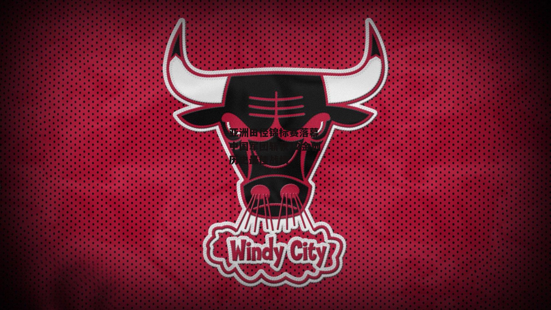 亚洲田径锦标赛落幕 中国军团斩获12金创历史最佳战绩